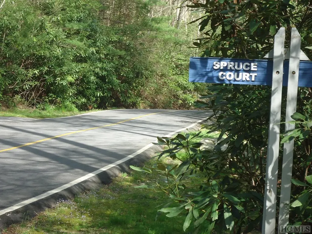 Lt 208 W Christy Trail Sapphire NC 28774