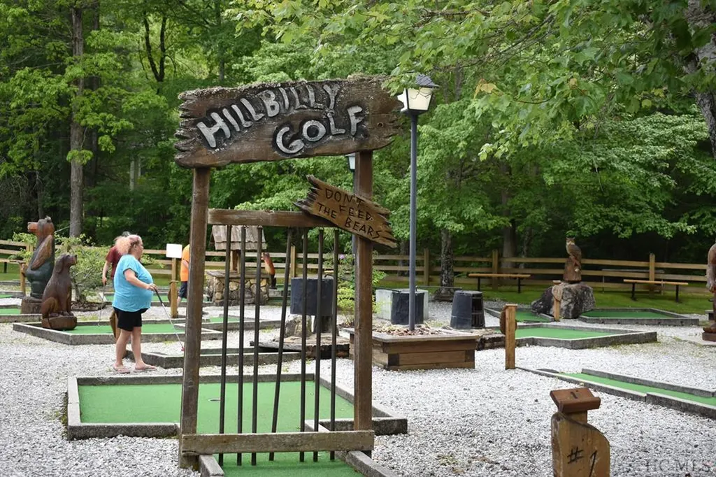 Lt 208 W Christy Trail Sapphire NC 28774