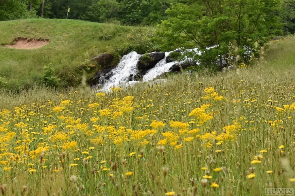 Lt 208 W Christy Trail Sapphire NC 28774