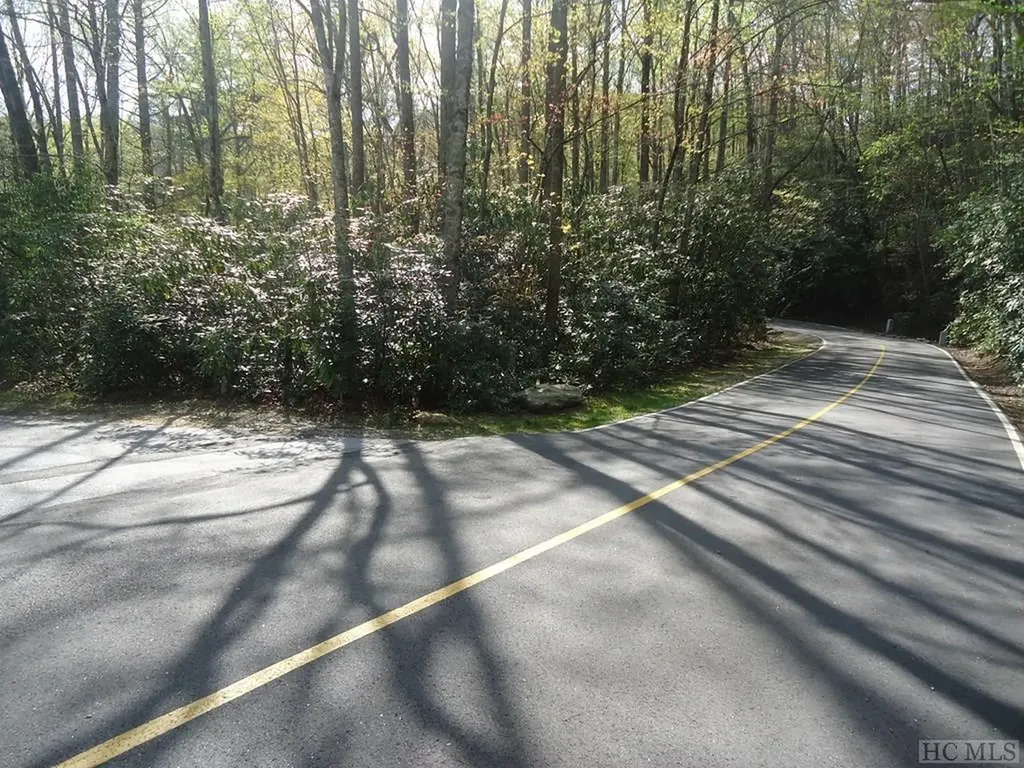 Lt 208 W Christy Trail Sapphire NC 28774