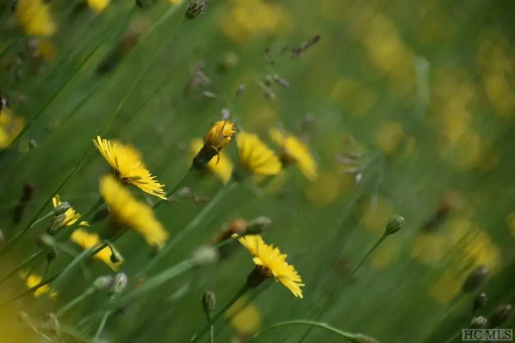 Lt 208 W Christy Trail Sapphire NC 28774