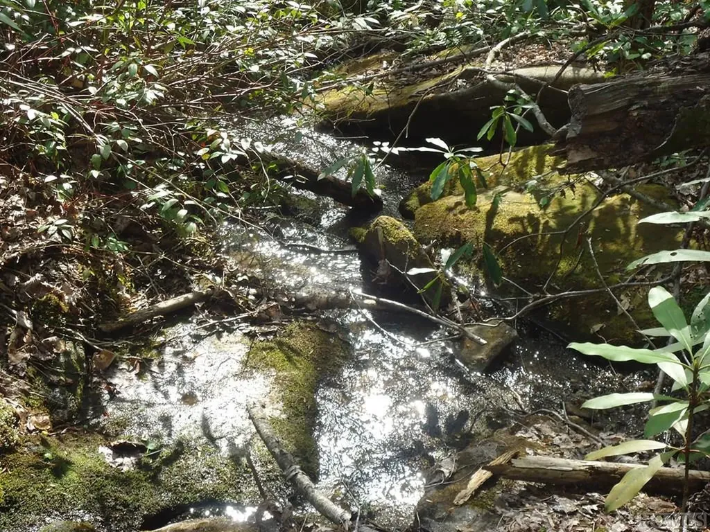 Lt 208 W Christy Trail Sapphire NC 28774