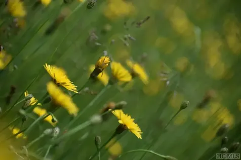 Lt 208 W Christy Trail Sapphire NC 28774