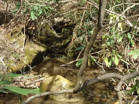 Lt 208 W Christy Trail Sapphire NC 28774