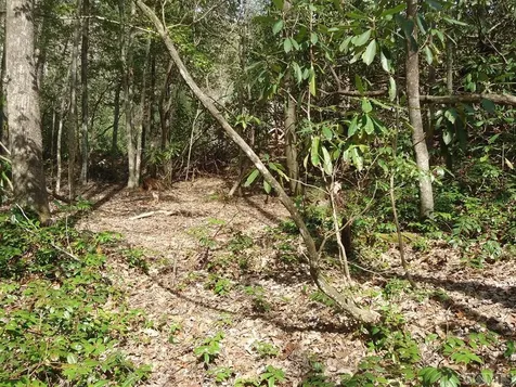 Lt 208 W Christy Trail Sapphire NC 28774