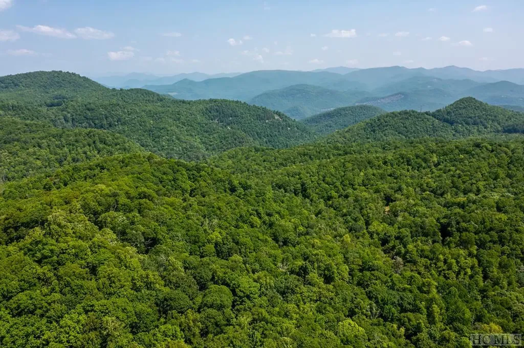 2572 Great Falls Drive Cashiers NC 28717