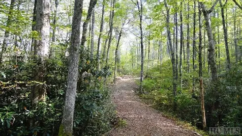 2572 Great Falls Drive Glenville NC 28717