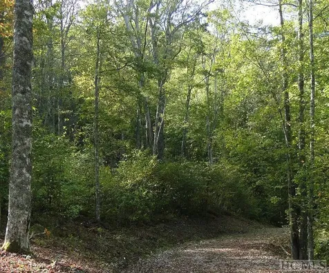 2572 Great Falls Drive Glenville NC 28717