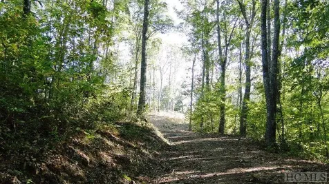 2572 Great Falls Drive Glenville NC 28717