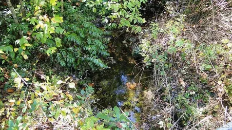 2572 Great Falls Drive Glenville NC 28717