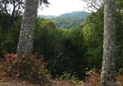 2572 Great Falls Drive Glenville NC 28717