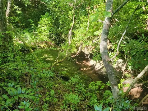 2572 Great Falls Drive Glenville NC 28717