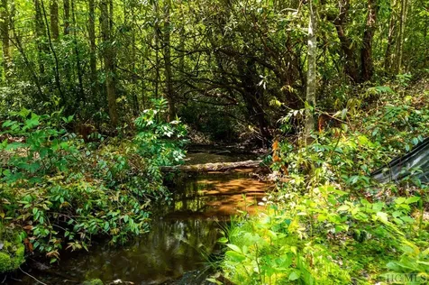 2572 Great Falls Drive Glenville NC 28717