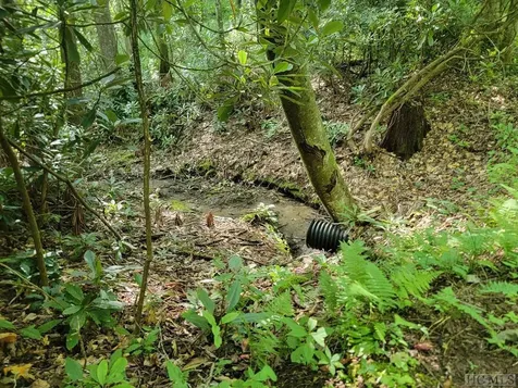 2572 Great Falls Drive Glenville NC 28717