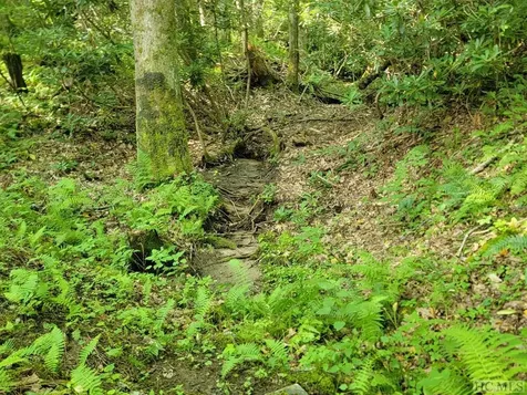 2572 Great Falls Drive Glenville NC 28717