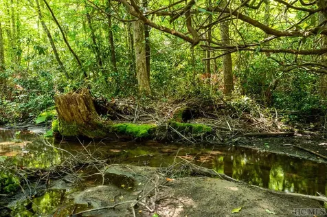 2572 Great Falls Drive Glenville NC 28717