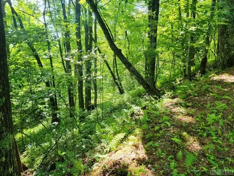 2572 Great Falls Drive Glenville NC 28717