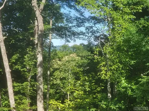 2572 Great Falls Drive Glenville NC 28717