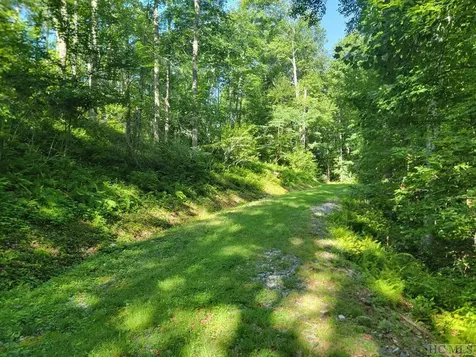 2572 Great Falls Drive Glenville NC 28717