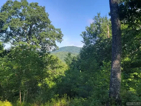 2572 Great Falls Drive Glenville NC 28717