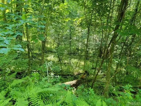 2572 Great Falls Drive Glenville NC 28717