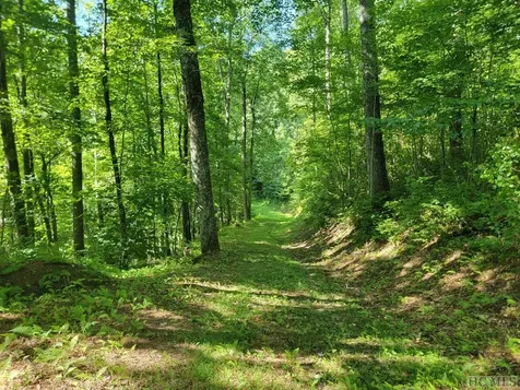 2572 Great Falls Drive Glenville NC 28717