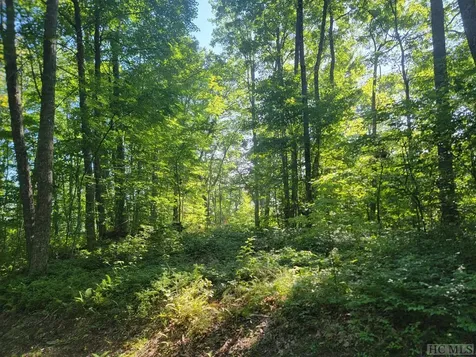 2572 Great Falls Drive Glenville NC 28717