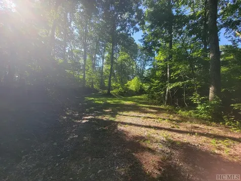 2572 Great Falls Drive Glenville NC 28717