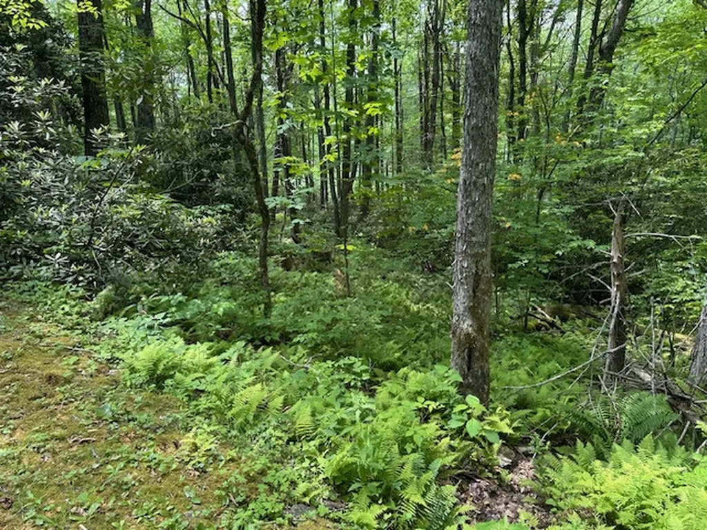 7 Dominion Road Glenville NC 28736