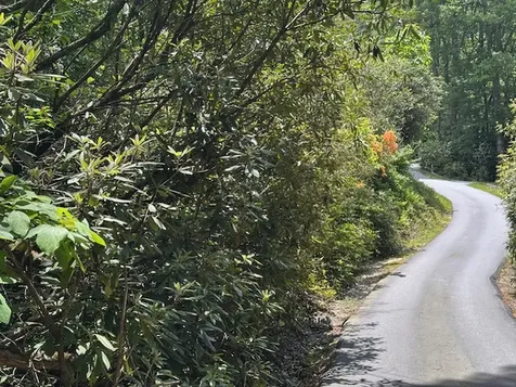 7 Dominion Road Glenville NC 28736