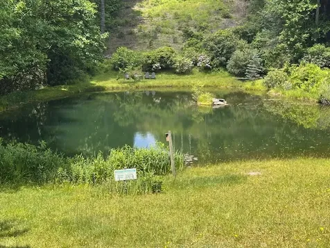 7 Dominion Road Glenville NC 28736