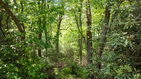 30/31 Sherwood Forest Road Highlands NC 28741