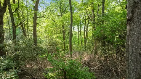 30/31 Sherwood Forest Road Highlands NC 28741