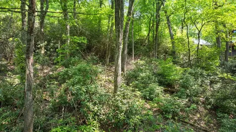 30/31 Sherwood Forest Road Highlands NC 28741