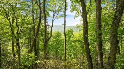 30/31 Sherwood Forest Road Highlands NC 28741