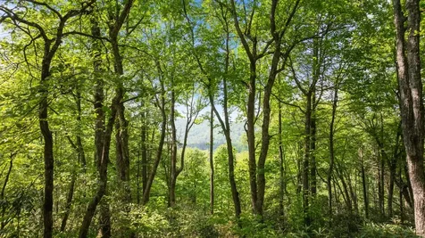 30/31 Sherwood Forest Road Highlands NC 28741