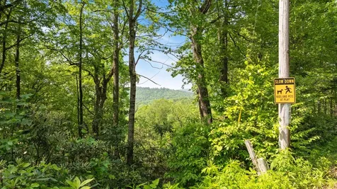 30/31 Sherwood Forest Road Highlands NC 28741