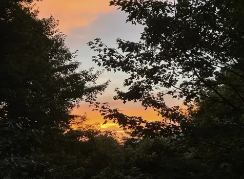 143 Old Transylvania Turnpike Sapphire NC 28774