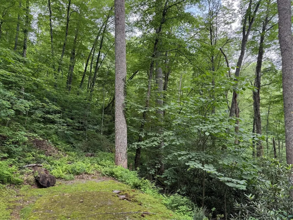 Lot 45 Greycliff Mountain Drive Cullowhee NC 28723