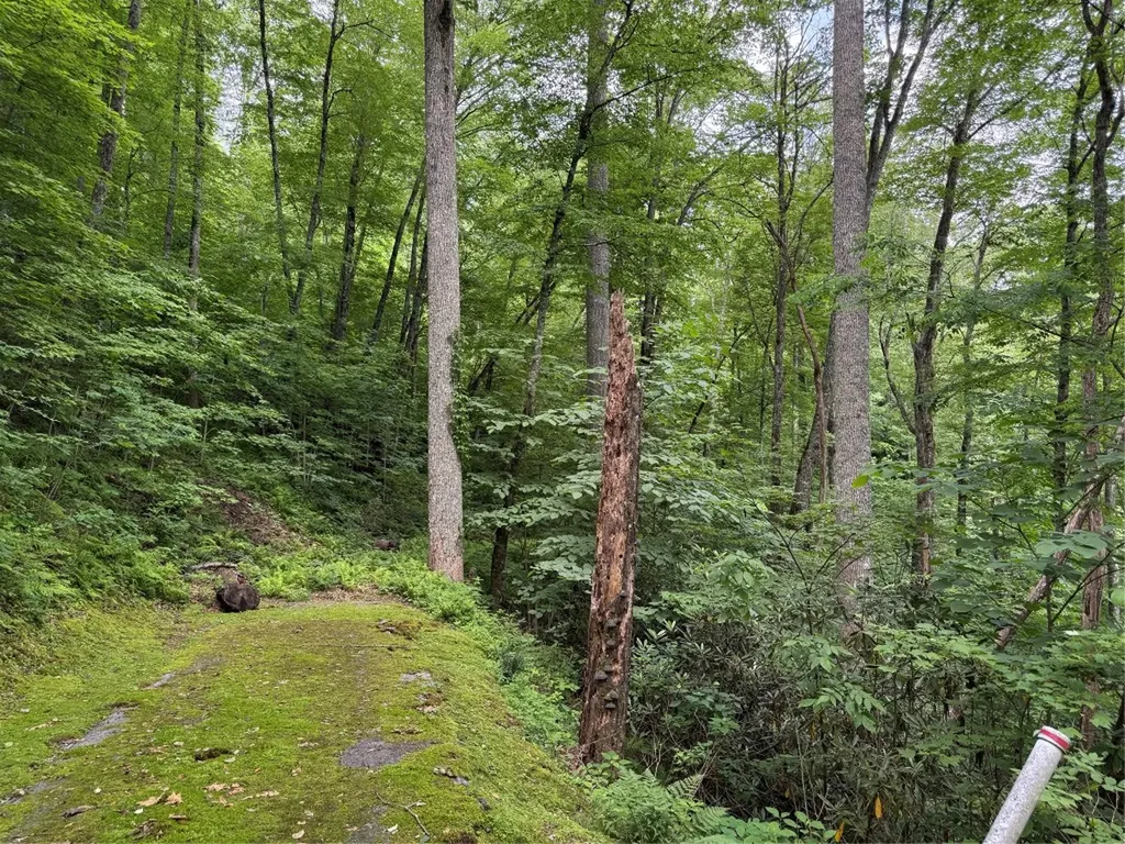 Lot 45 Greycliff Mountain Drive Cullowhee NC 28723