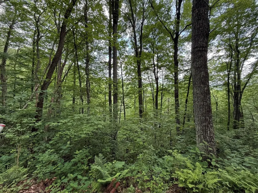 Lot 45 Greycliff Mountain Drive Cullowhee NC 28723