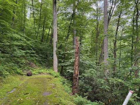 Lot 45 Greycliff Mountain Drive Cullowhee NC 28723
