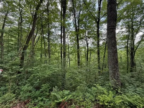 Lot 45 Greycliff Mountain Drive Cullowhee NC 28723