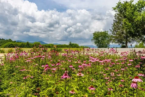 3809 Bryson City Road Franklin NC 28734