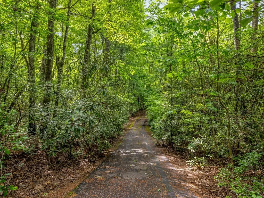 J 34 Cherokee Point Lake Toxaway NC 28747