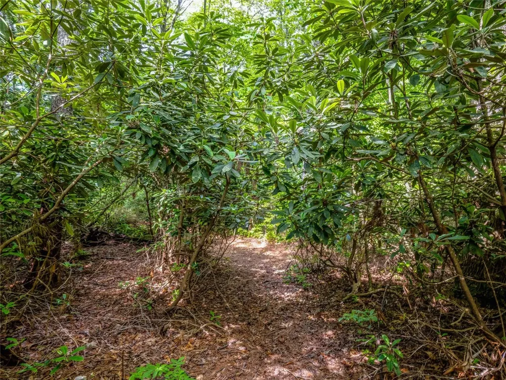 J 34 Cherokee Point Lake Toxaway NC 28747