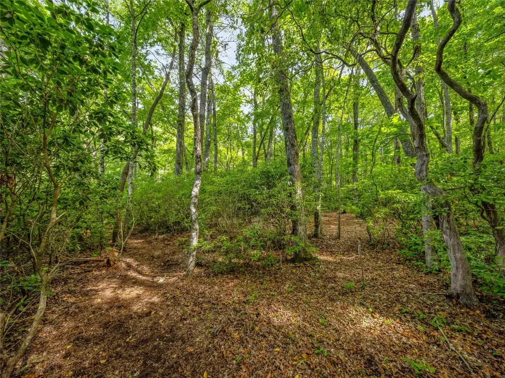 J 34 Cherokee Point Lake Toxaway NC 28747