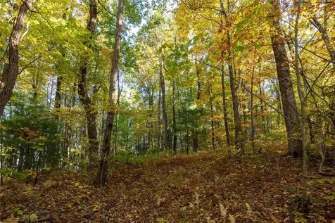 Lot 15 Whitewater Ridge Road Sapphire NC 28774