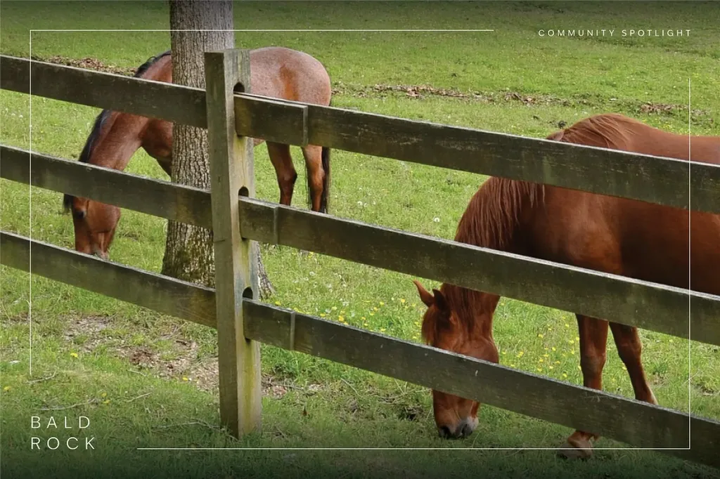 420 Feldspar Lane Sapphire NC 28774