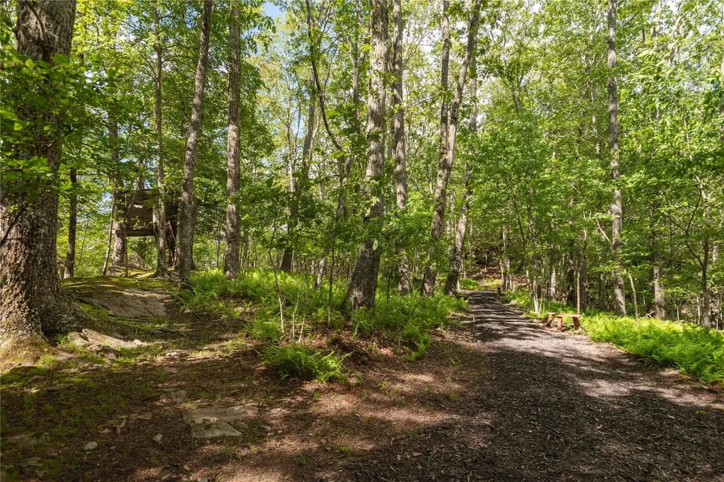 420 Feldspar Lane Sapphire NC 28774